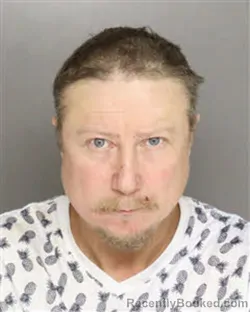 Mugshot of DANIEL SHANE PERKINS