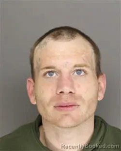 Mugshot of JEFFREY SHELDON SPRINGER