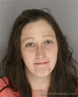 Mugshot of HEATHER LEE BLUE