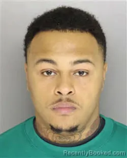 Mugshot of DAVID LAMONT RAY