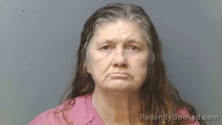 Mugshot of MAVIS BRACY