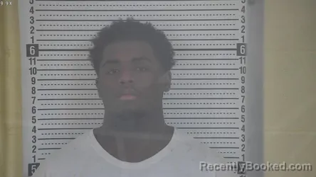 Mugshot of JEREMIAH D STAPLETON