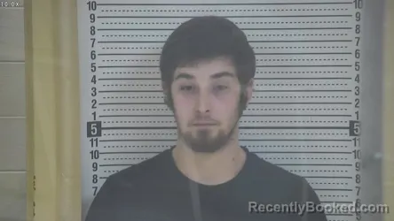 Mugshot of RYEN LUKE COX
