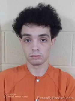 Mugshot of JOHNNY JENKINS