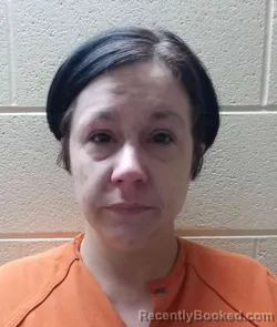 Mugshot of STACIE HENRY