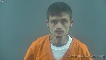 Mugshot of DAVID TYLER HUTCHINS