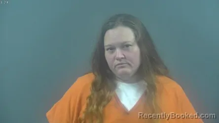 Mugshot of DANIELLE NICOLE MINTON
