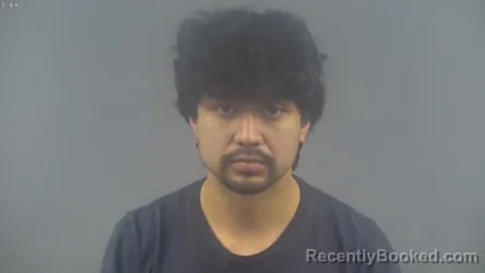 Mugshot of GABRIEL PALACIOS ROMERO