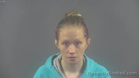 Mugshot of HEATHER LEIGH BROWN