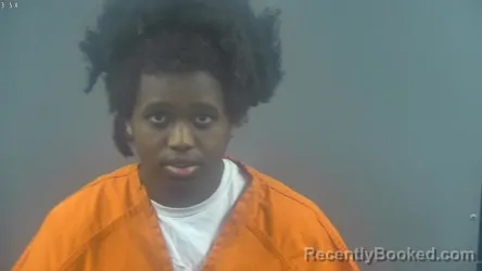 Mugshot of ZAKARIYE AVDI OLOW