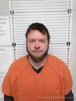 Mugshot of LANCE DOBBS