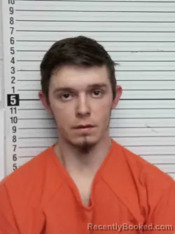 Mugshot of NELSON COFFEY