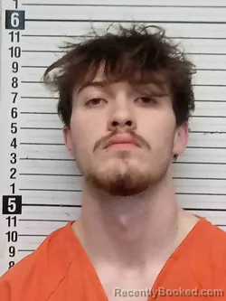 Mugshot of DAVID BENEFIELD