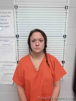 Mugshot of AMBER DINARDI