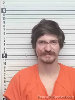 Mugshot of BRENNAN CHRISWELL