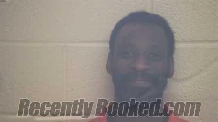 Booking photo from Webster County, Kentucky