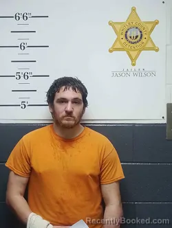 Mugshot of DANIEL DAVIS