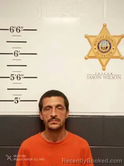 Mugshot of JAMES NEWELL