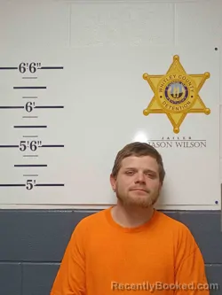 Mugshot of ROY LAWSON