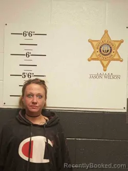 Mugshot of VALERIE LONG