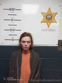 Mugshot of KARA DAVIDSON