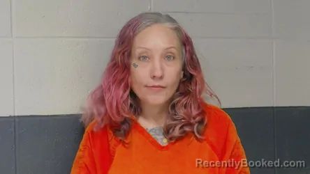 Mugshot of HEATHER HENDRICKSON