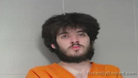Mugshot of MICHAEL SHANE LEMONS