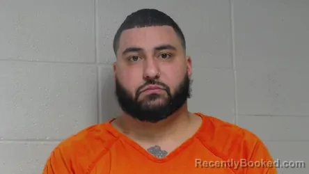 Mugshot of PATRICK JOHNSON