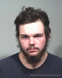 Mugshot of DYLAN AUSTIN LEACH