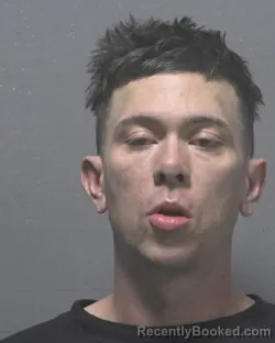 Mugshot of JIMMIE DEARL MEEKS