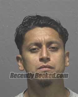 Booking photo from New Hanover County, North Carolina