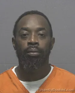 Booking photo from New Hanover County, North Carolina