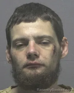 Mugshot of DAVID MATTHEW NIVEN