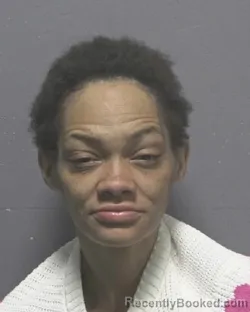Mugshot of EVELYN LYNETTE PETERS