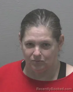 Mugshot of HEIDI ALLSION JONES