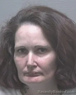 Mugshot of LISA MARIE STONEHILL