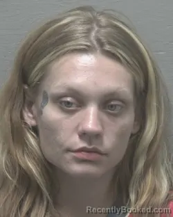 Mugshot of JESSIE LOUISE PORTER