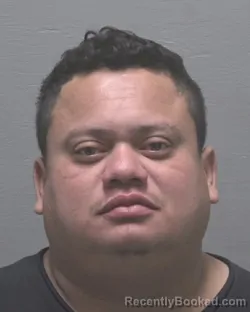 Mugshot of JULIO FERNANDO-RAMOS SANCHEZ
