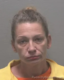 Mugshot of AMEE TENELLE KING