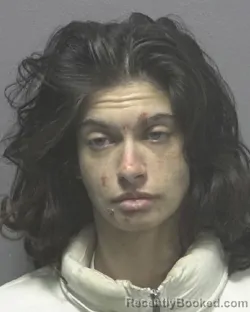 Mugshot of CASADRA GWEN MAREK