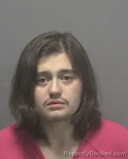 Mugshot of KILLIAN SCOTT STIGLIC