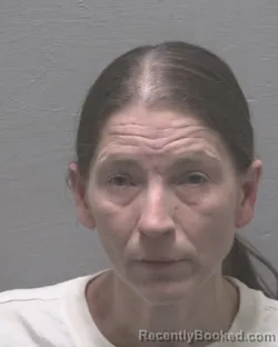 Mugshot of REBECCA ANN RIVENBARK