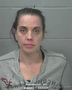 Mugshot of ANITA MARIE WOODARD