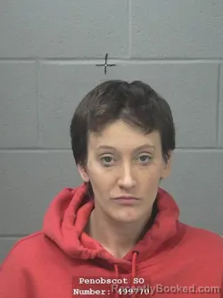 Mugshot of LENA TANESHA HINTZ