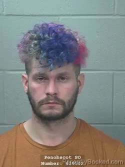 Mugshot of JOEL SCOT SWEETSER