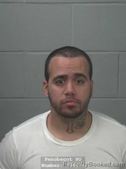 Mugshot of JAMES ROBERT BURNS