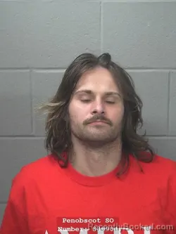 Mugshot of RYAN M F DALL