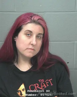 Mugshot of AMANDA MICHELLE TWOMEY