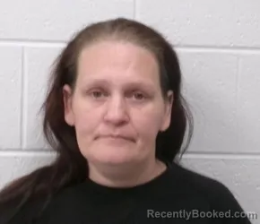 Mugshot of SHANNON LEE HEWLIN