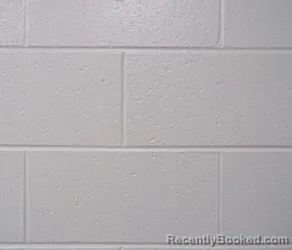 Booking photo from Allegany County, Maryland